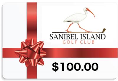 $100 Gift Certificate
